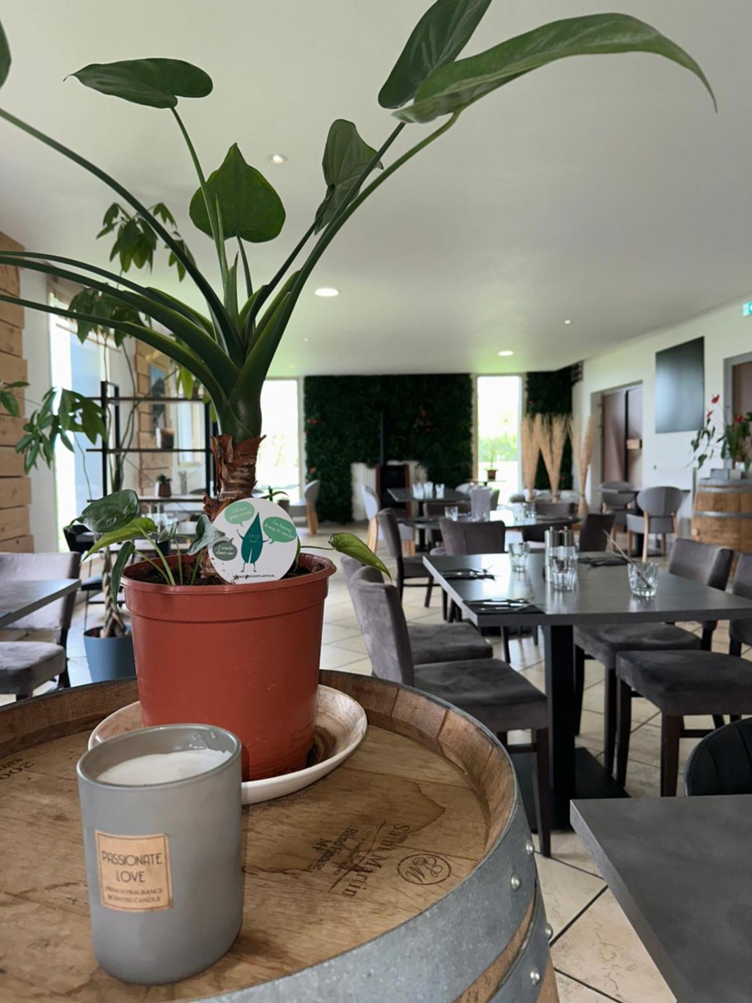 Logis Hotel Volcan Sancy Nebouzat Ngoại thất bức ảnh
